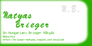 matyas brieger business card