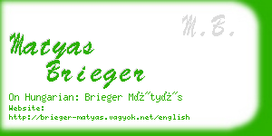 matyas brieger business card